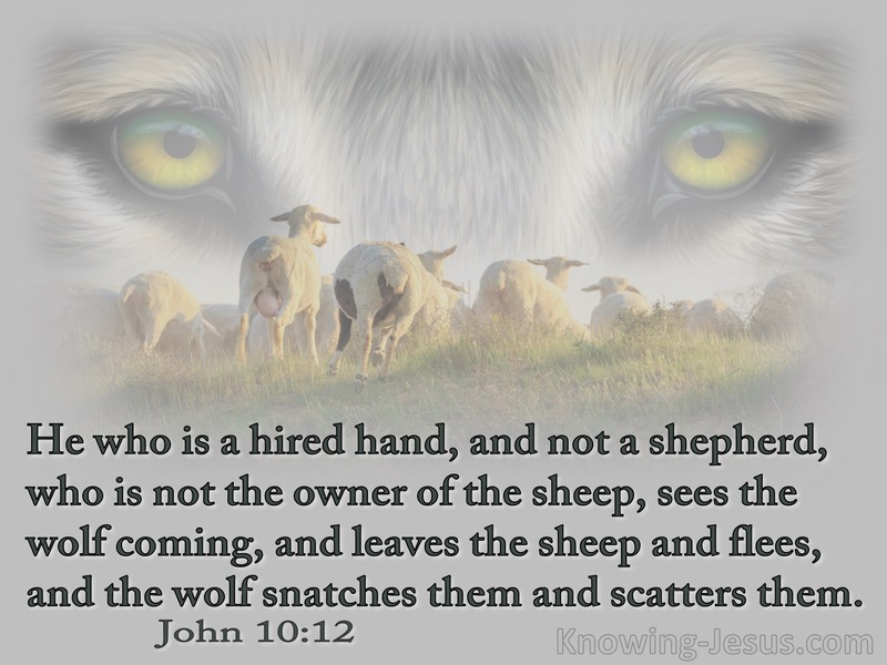 John 10:12 He Who Is A Hired Hand, And Not A Shepherd (sage)